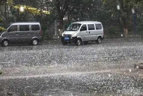 桥下躲冰雹致堵车该不该担责