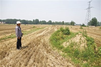 6月4日，安徽颍上县新集镇下湾村。刘永凯站在妻子坟前。