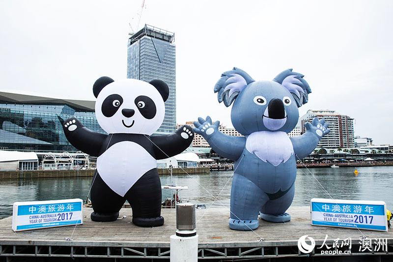 浮动熊猫考拉畅游悉尼情人港迎接“中澳旅游年”（摄影 贺吉）