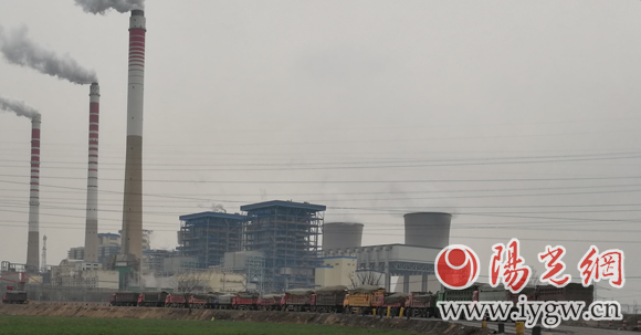 蒲城电厂外，运煤的车辆排起了长队。