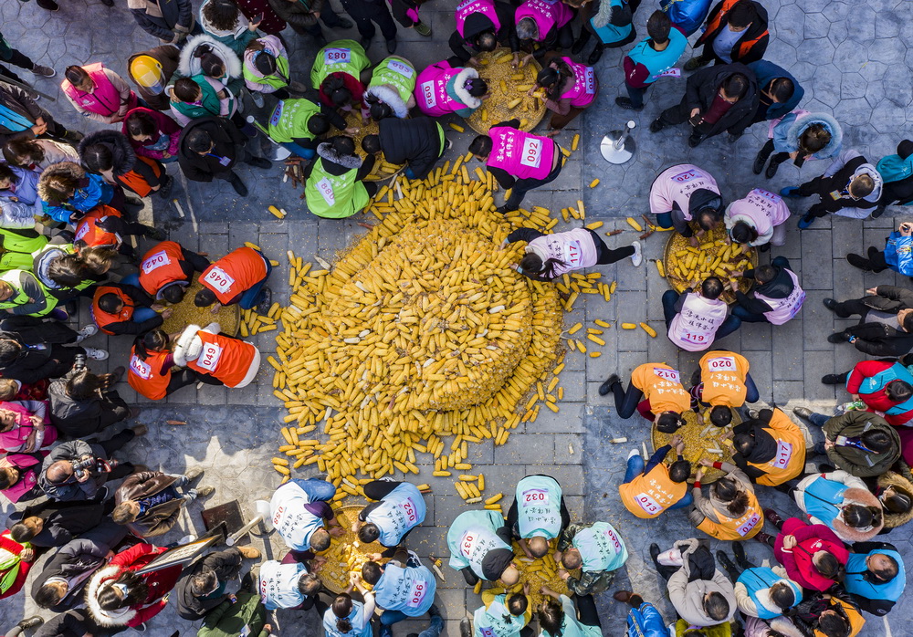 12月20日，秭归县九畹溪镇农民在该镇石柱村参加搓玉米比赛（无人机照片）。