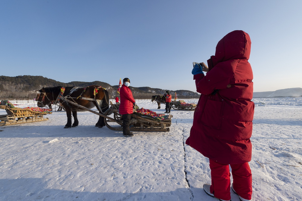 1月13日，游客在北极村和马拉爬犁合影。